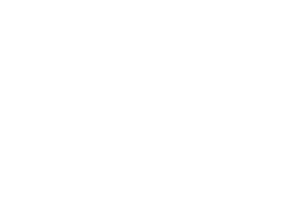 Brassadero 26