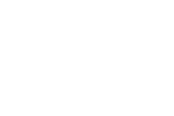 La wera pamela